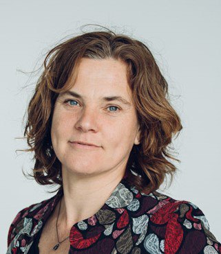 Davidlok lowres 1379 passport picture size