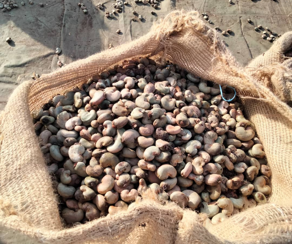 Untitled design (12)