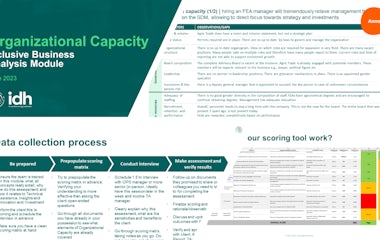 Organzational capacity cover