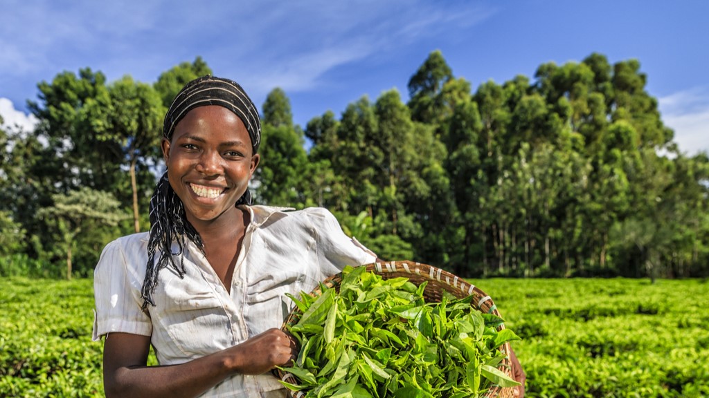 I stock 1280588715 (1)