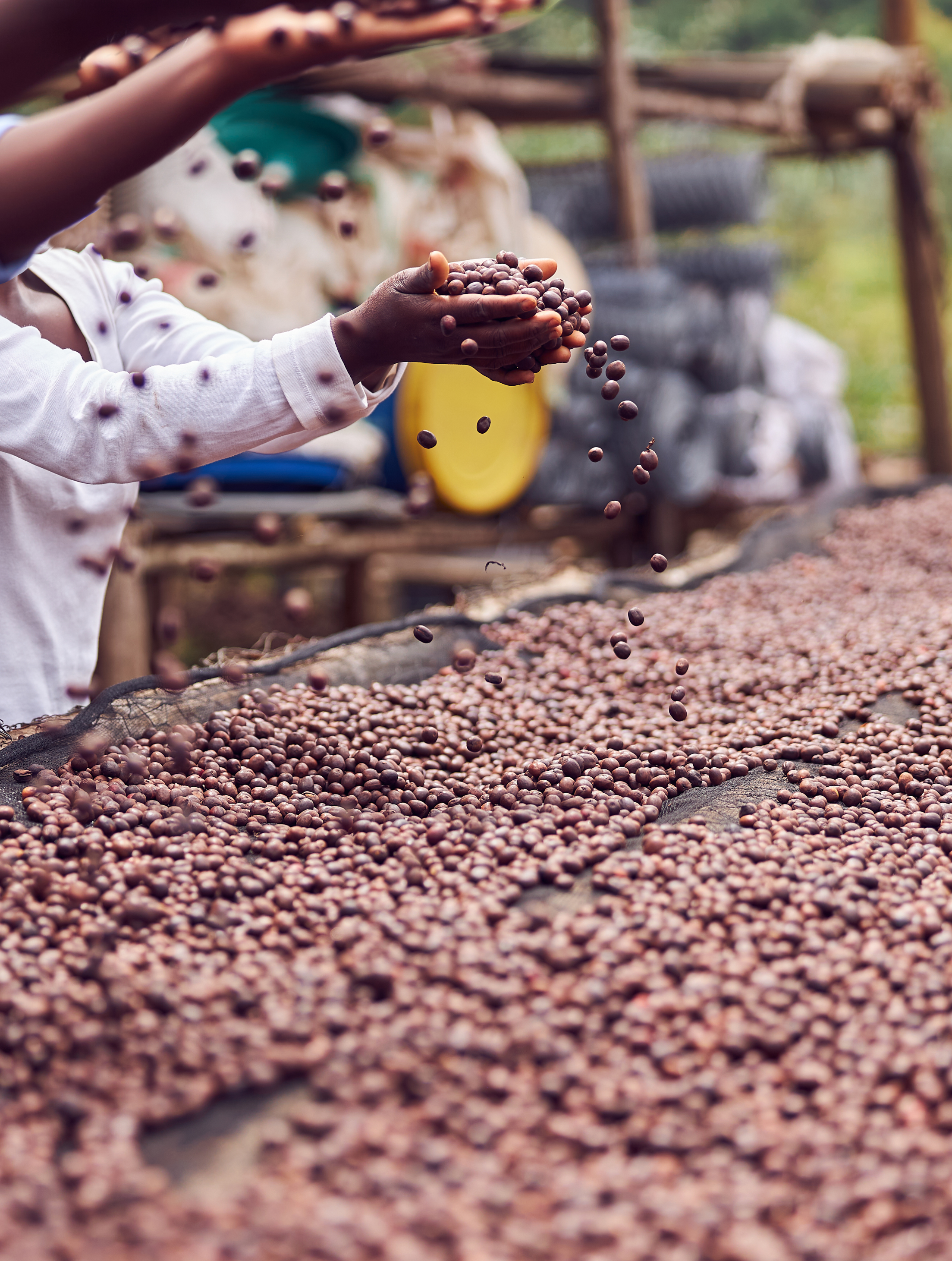 I stock 1334162584 1