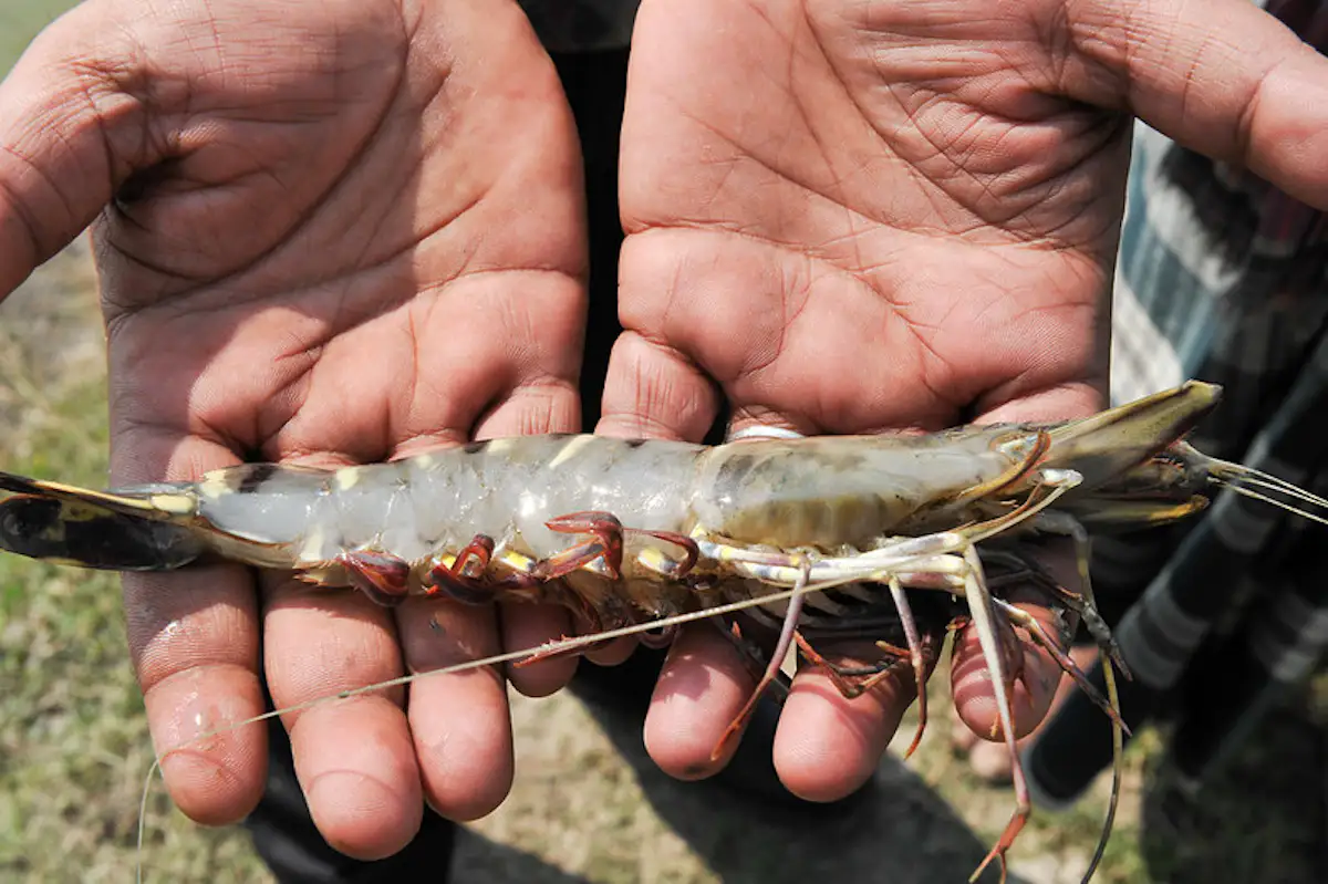 8547026381 84355e3a53 c (1)