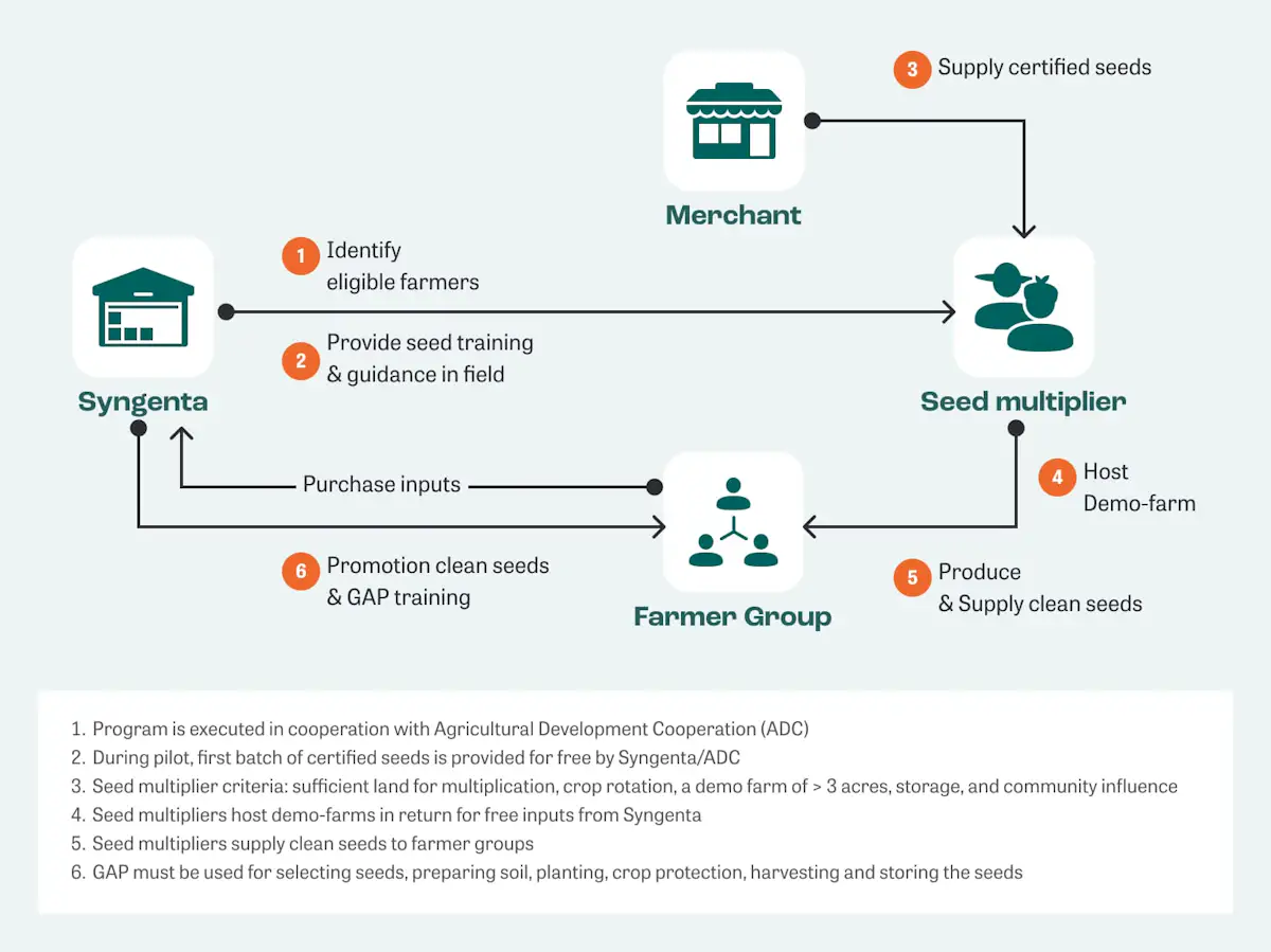 How it works seed multiplication
