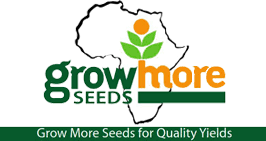 Grow More Seeds