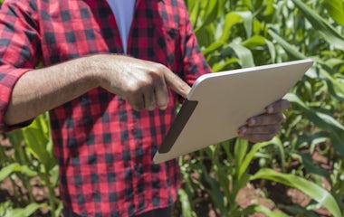Farmer tablet