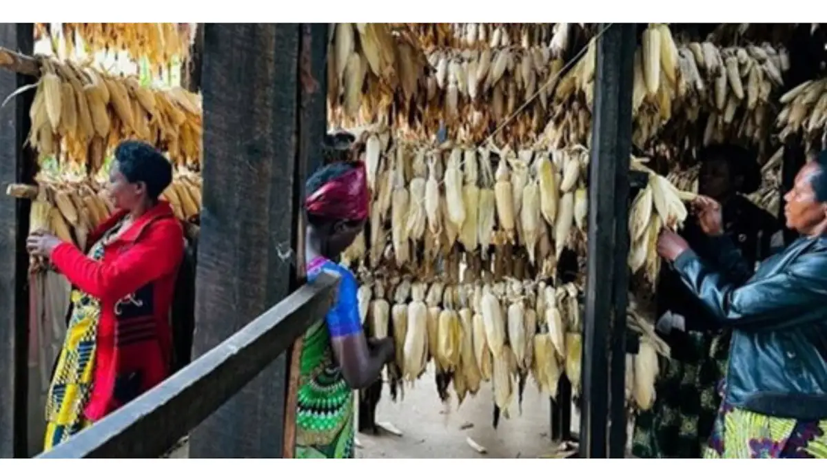 Photography contest! (5)