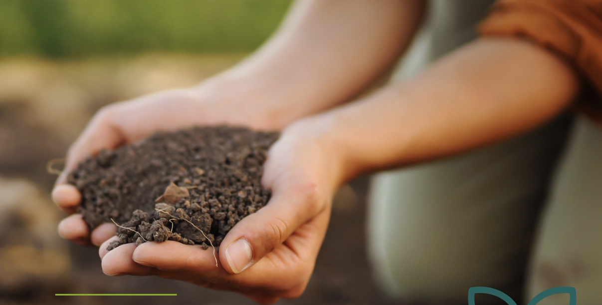 Screenshot 2025 05 08 at 17.49.11